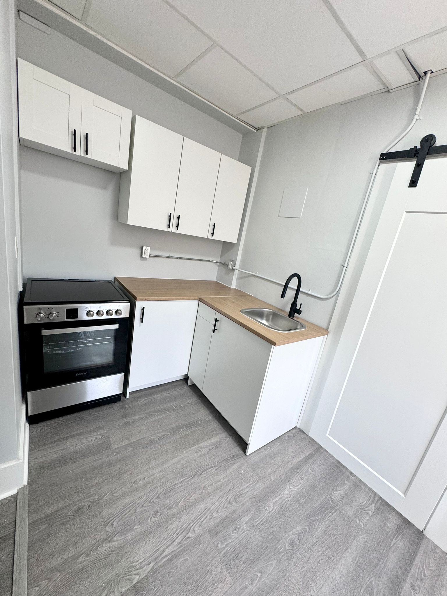 Windsor Condo: 1495 Gladstone Ave