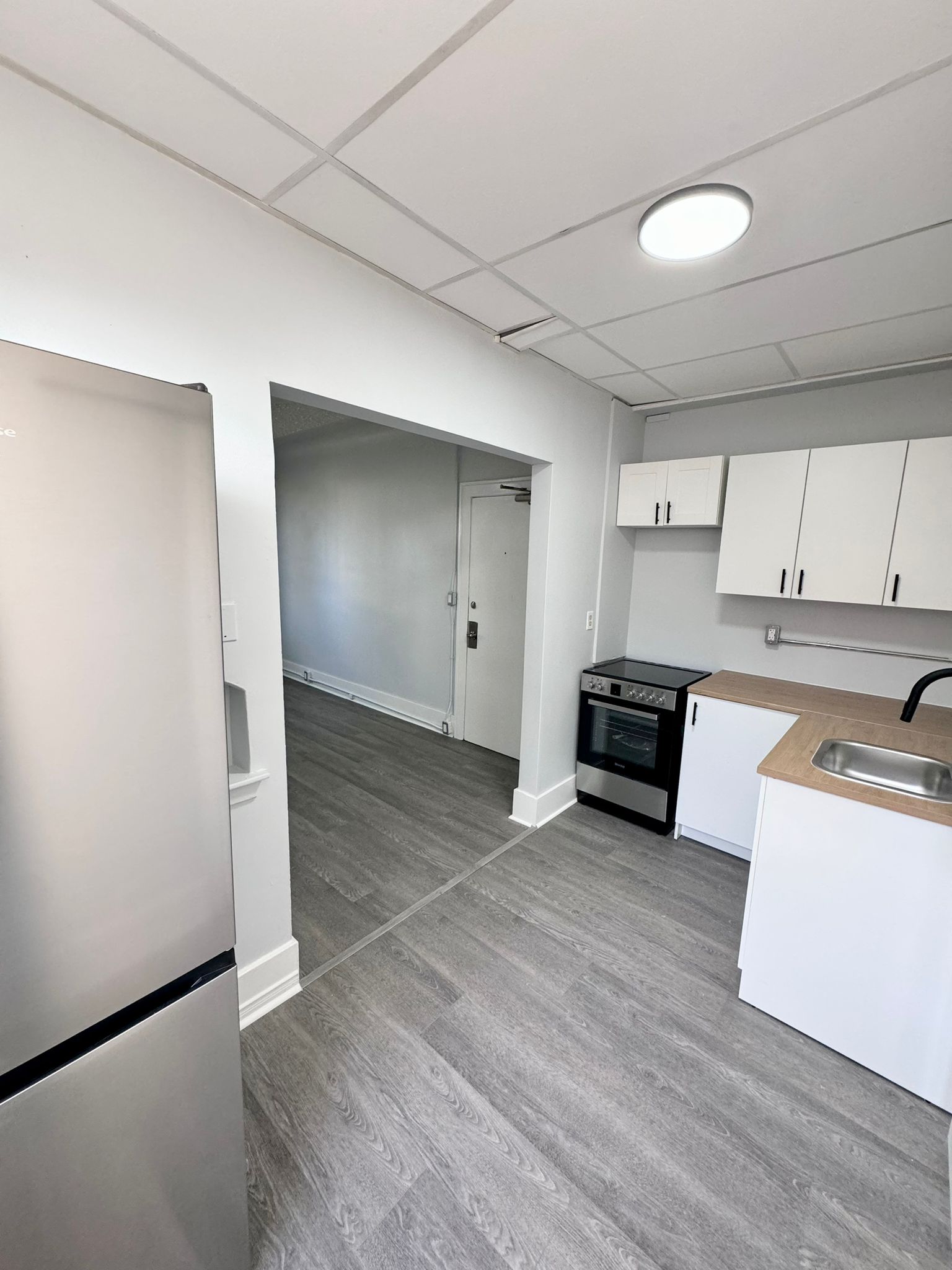 Windsor Condo: 1495 Gladstone Ave