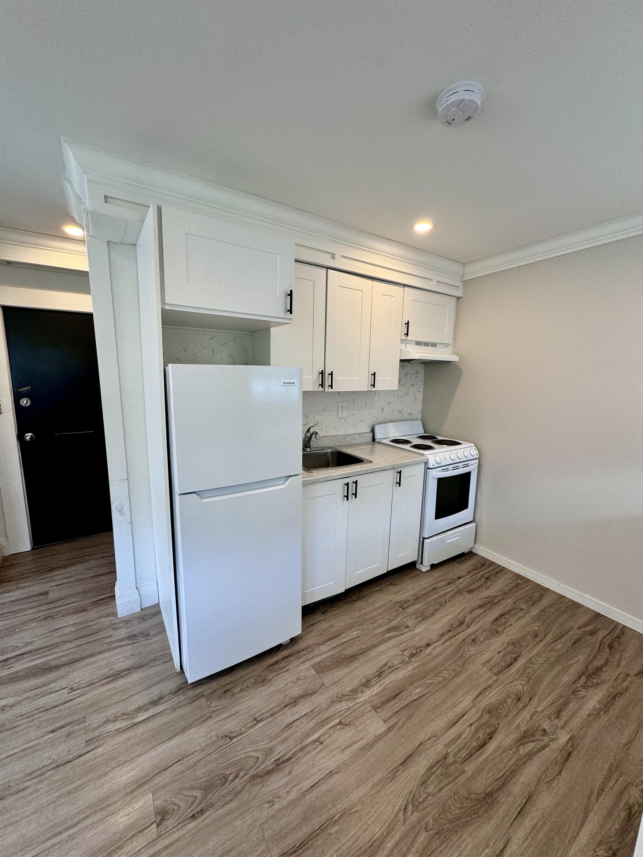 Windsor Condo: 1495 Gladstone Ave