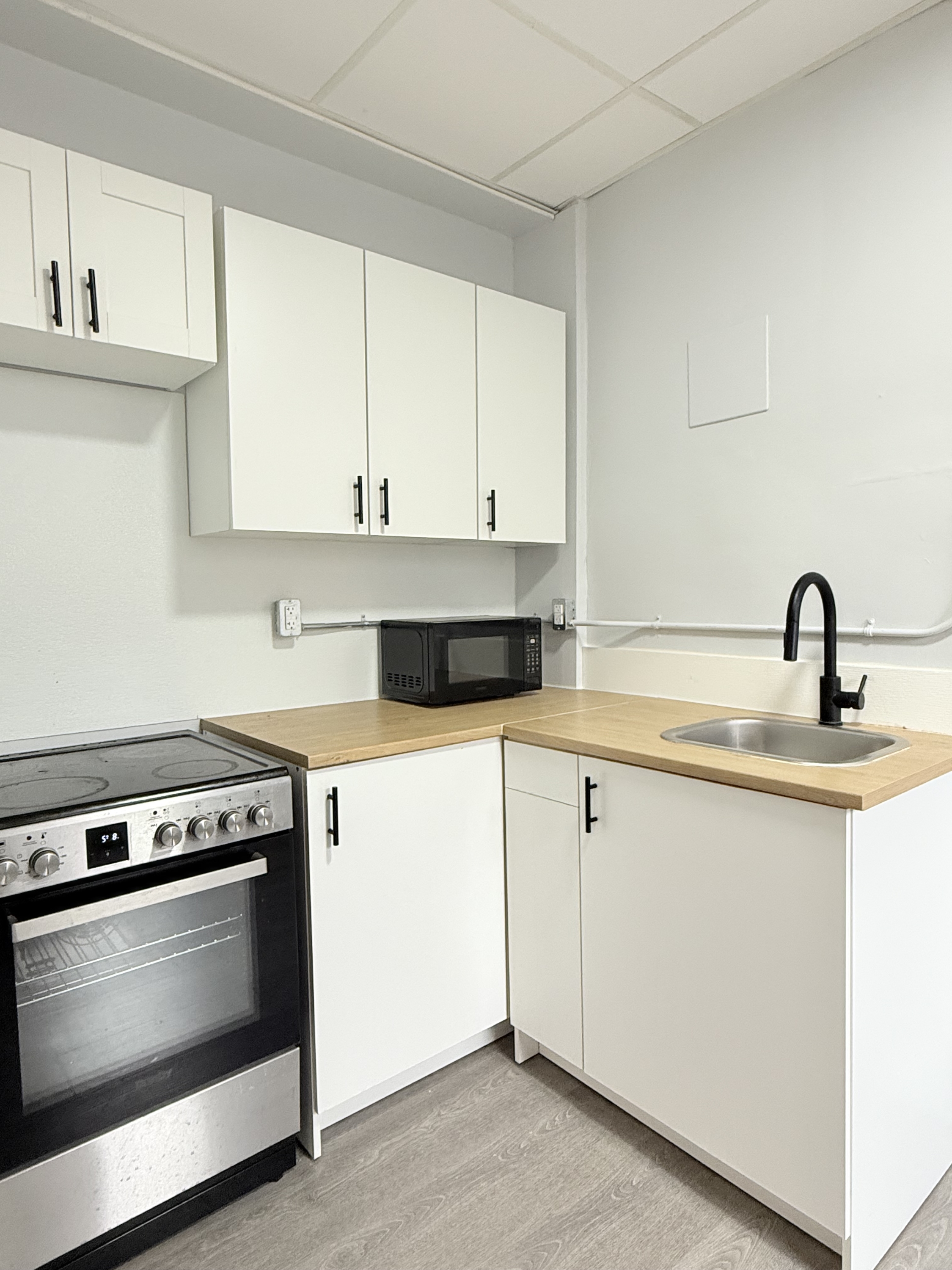 Windsor Condo: 1495 Gladstone Ave