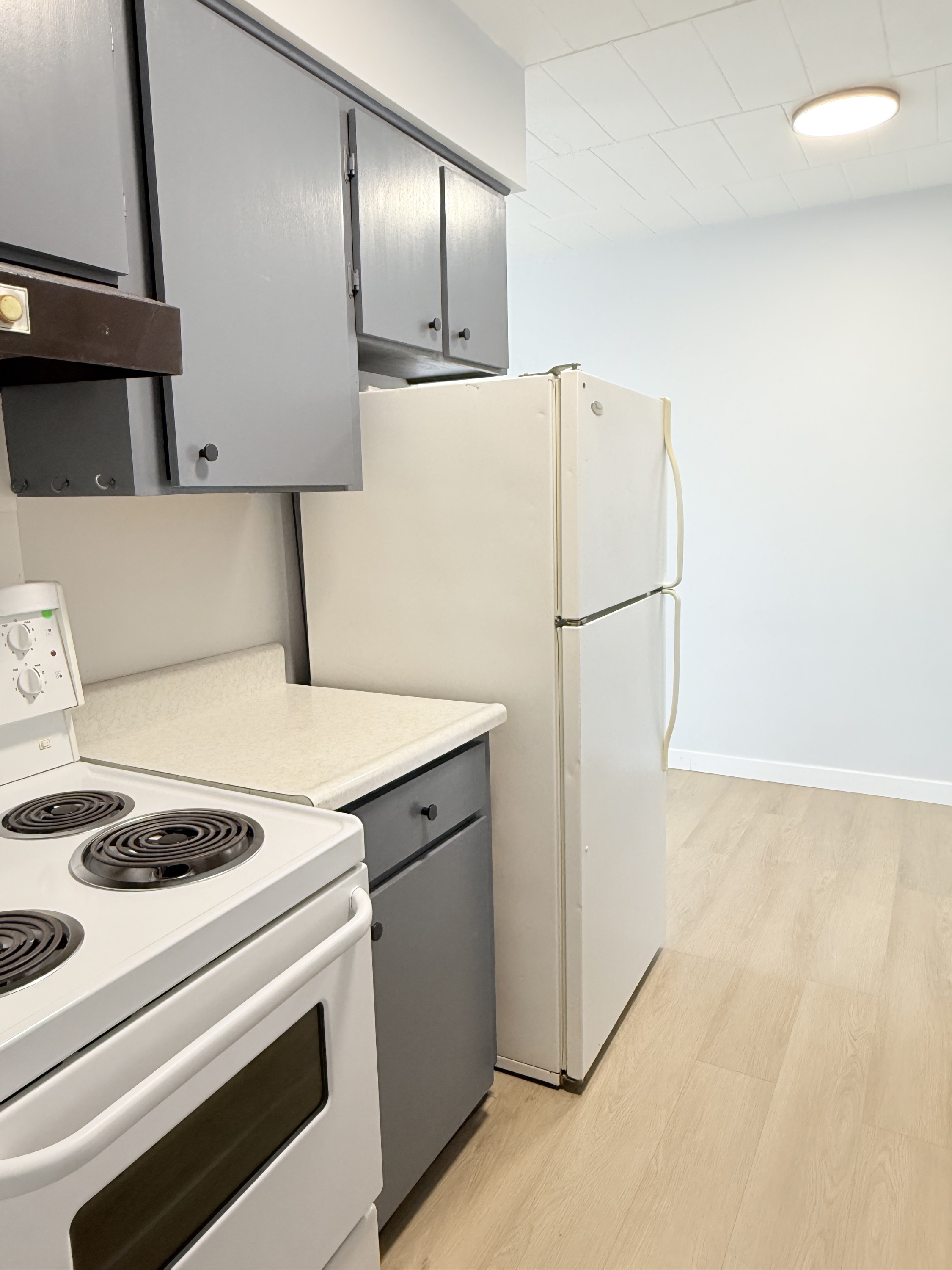 Windsor Condo: 591 Wellington Ave