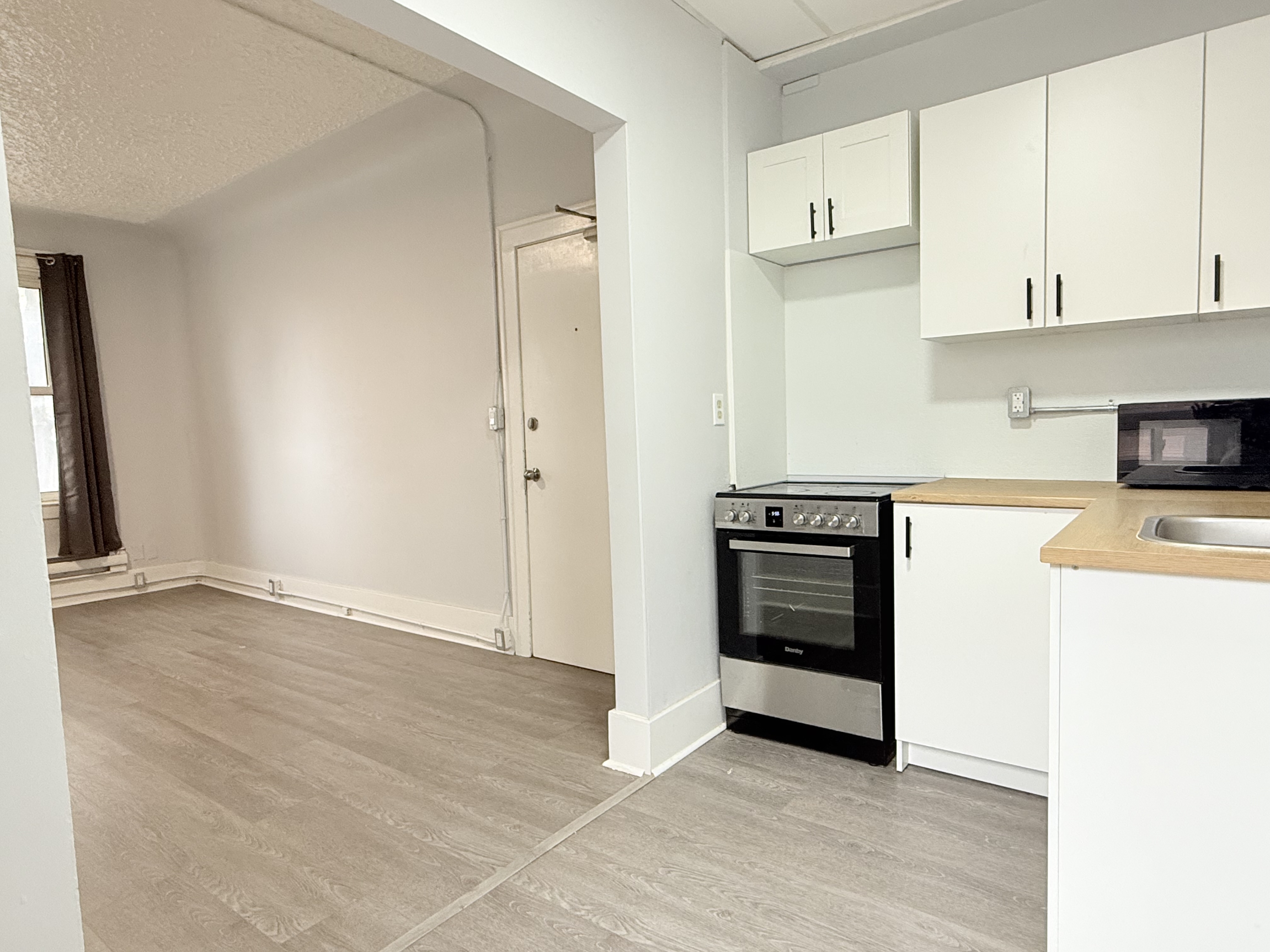 Windsor Condo: 1495 Gladstone Ave