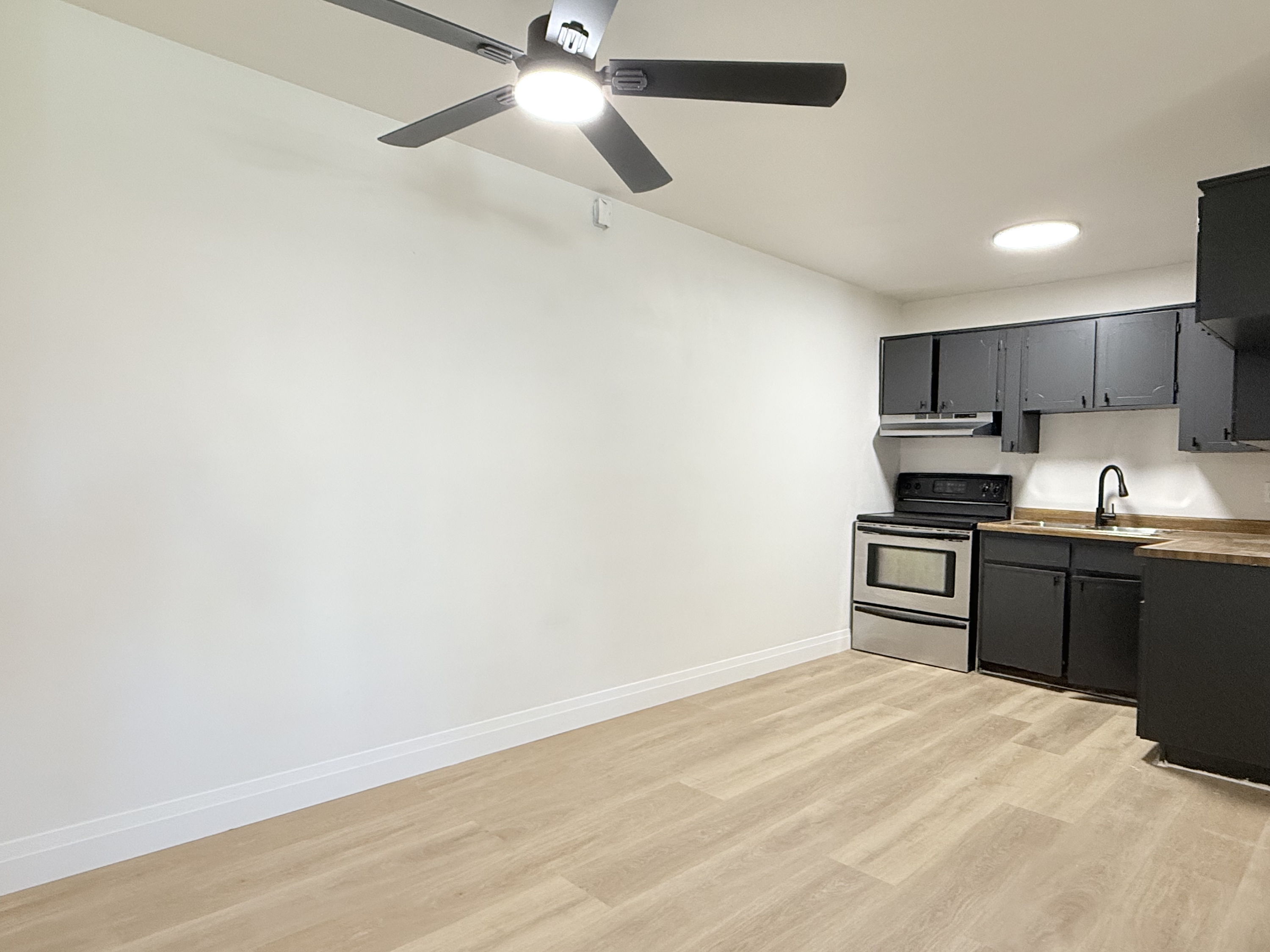 Windsor Condo: 650 Cameron Ave