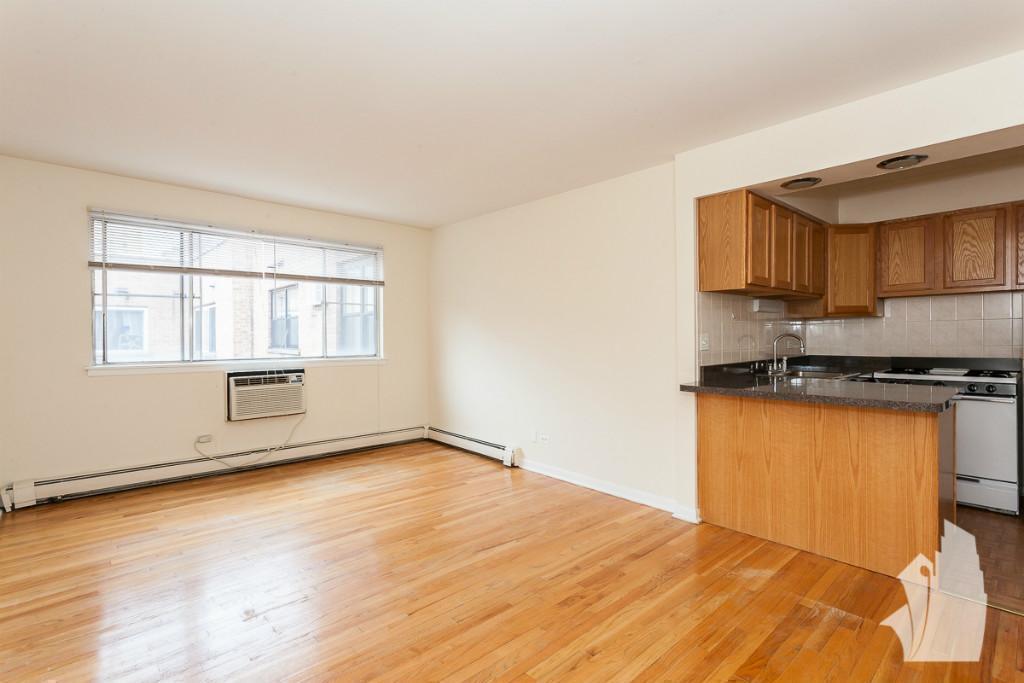 Chicago Condo: 530 W Aldine Ave