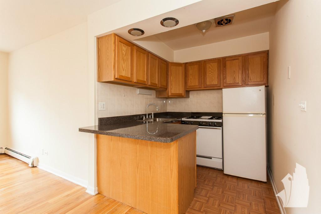 Chicago Condo: 530 W Aldine Ave