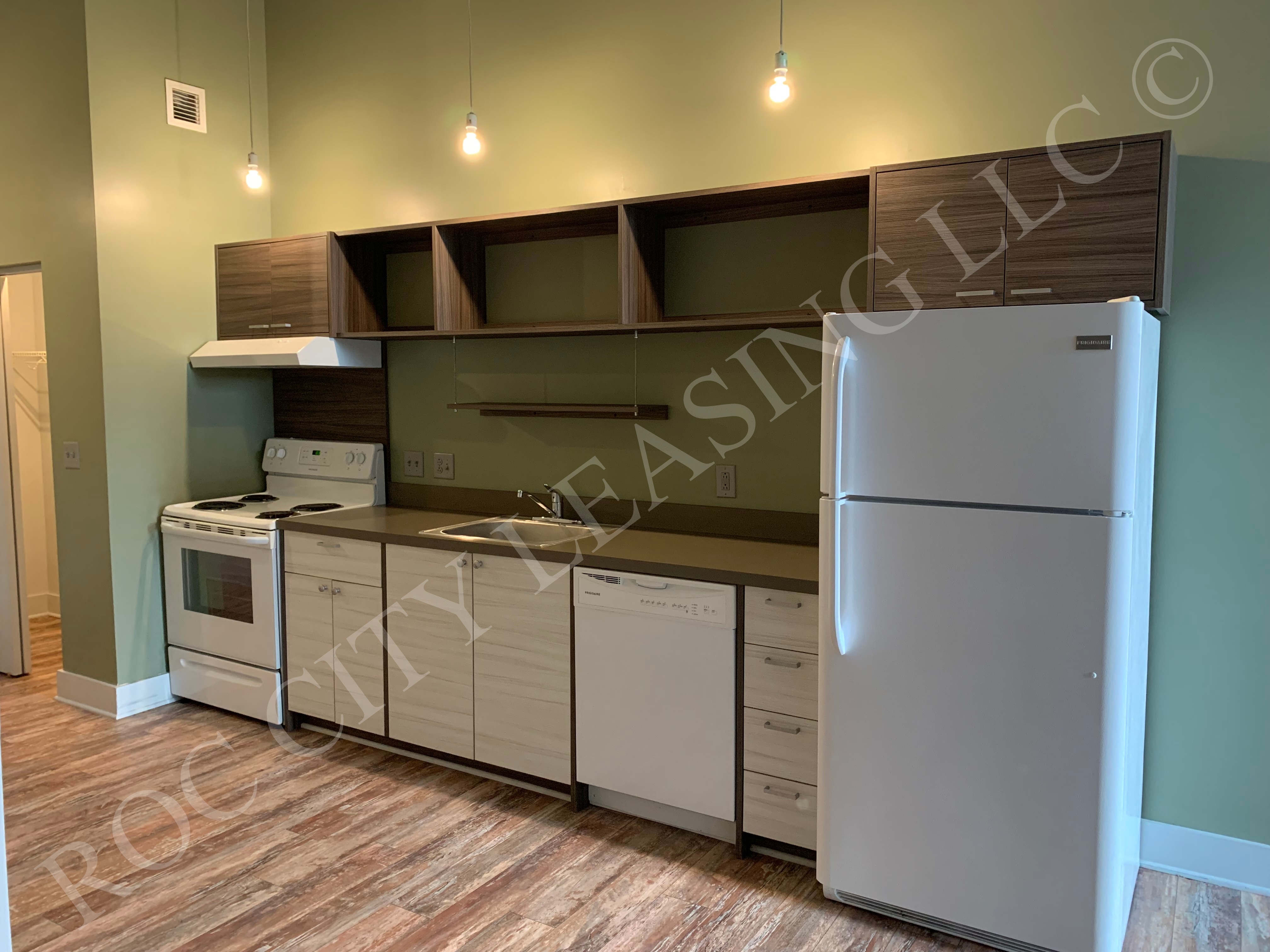 Rochester Apartment: 155 Saint Paul St