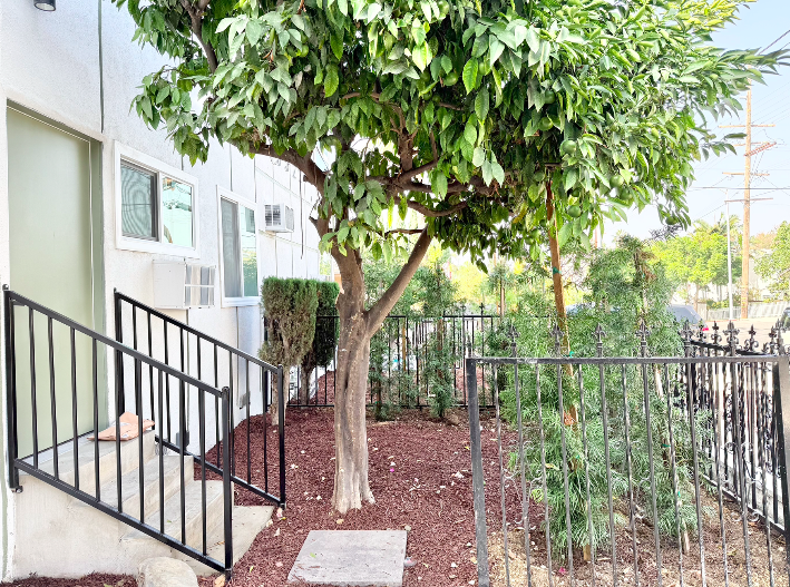 Los Angeles Condo: 3522 Bellevue Ave