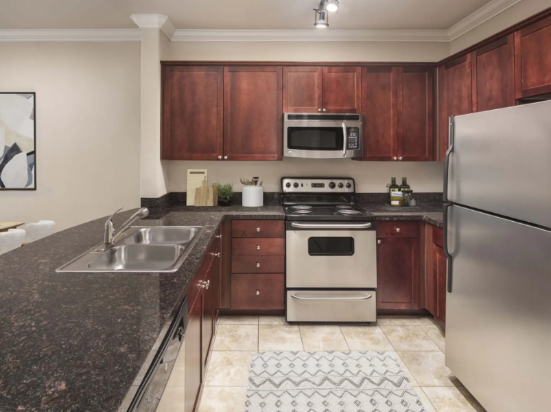 Tomball Condo: 11007 Northpointe Blvd