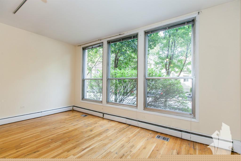 Chicago Condo: 1425 N Dearborn St