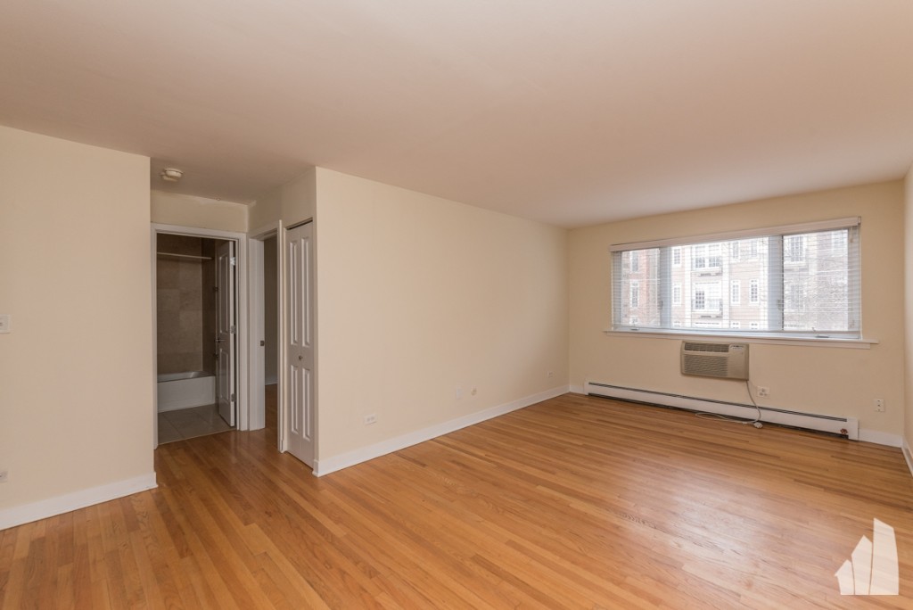 Chicago Condo: 625 W Wrightwood Ave
