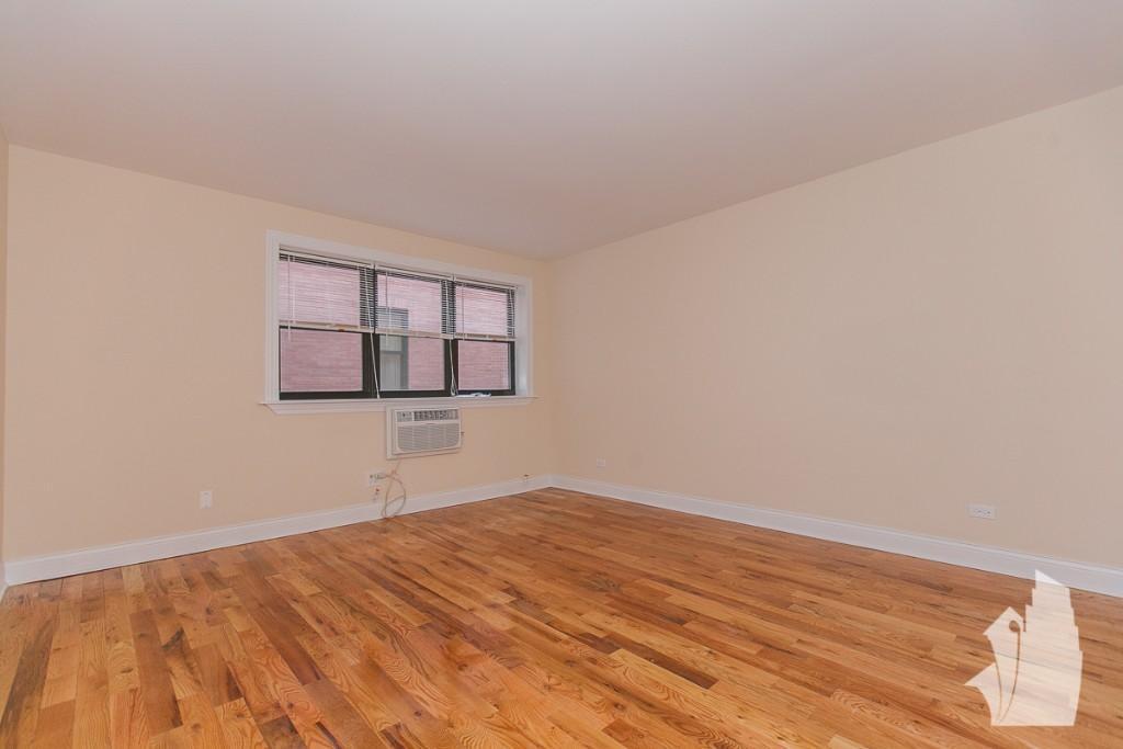 Chicago Condo: 555 W Arlington Pl