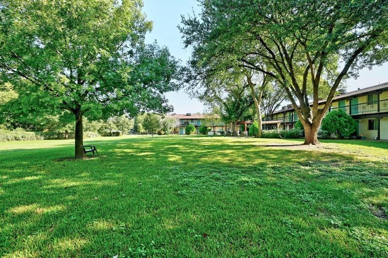 Austin Condo: 711 Eberhart Lane