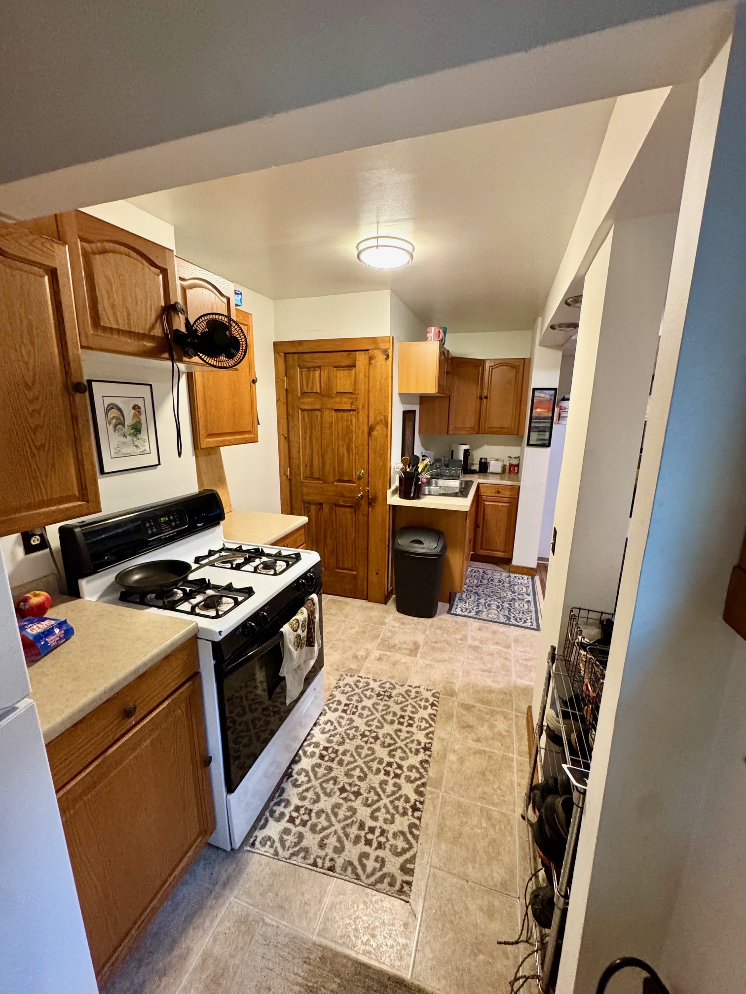 Grand Rapids Condo: 103 Luton Ave SE