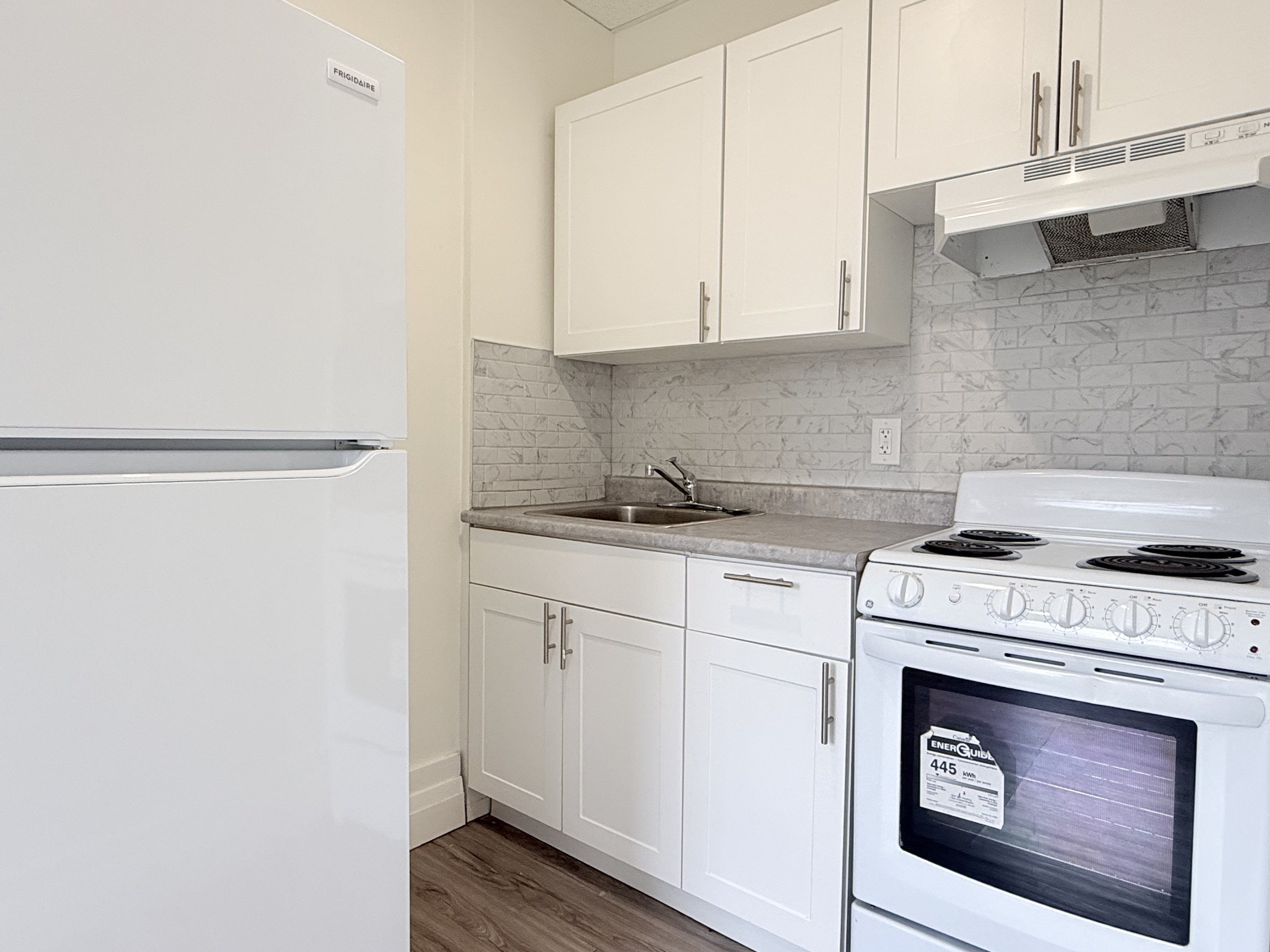 Windsor Condo: 1495 Gladstone Ave