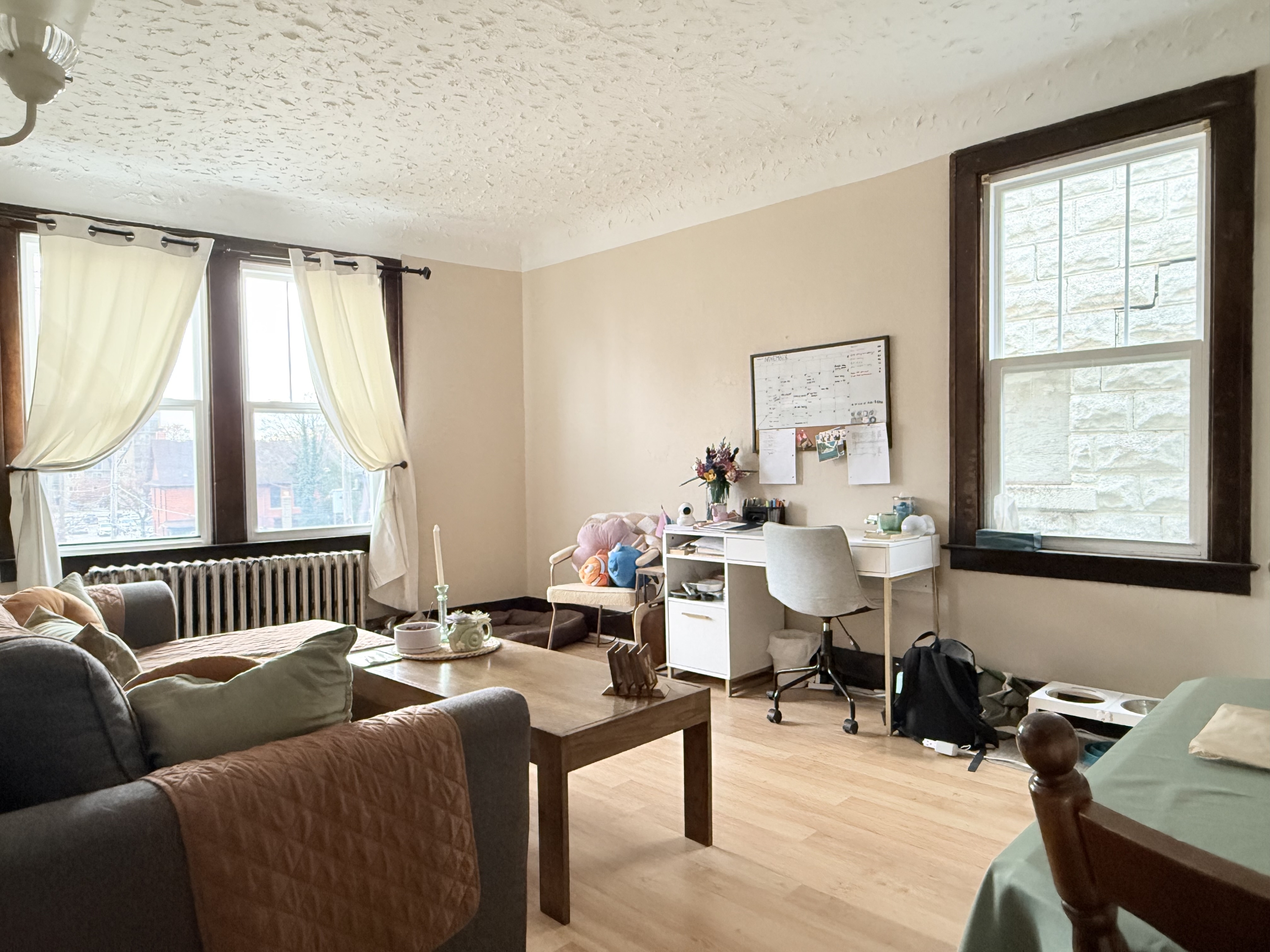 Windsor Condo: 524 Pitt St W