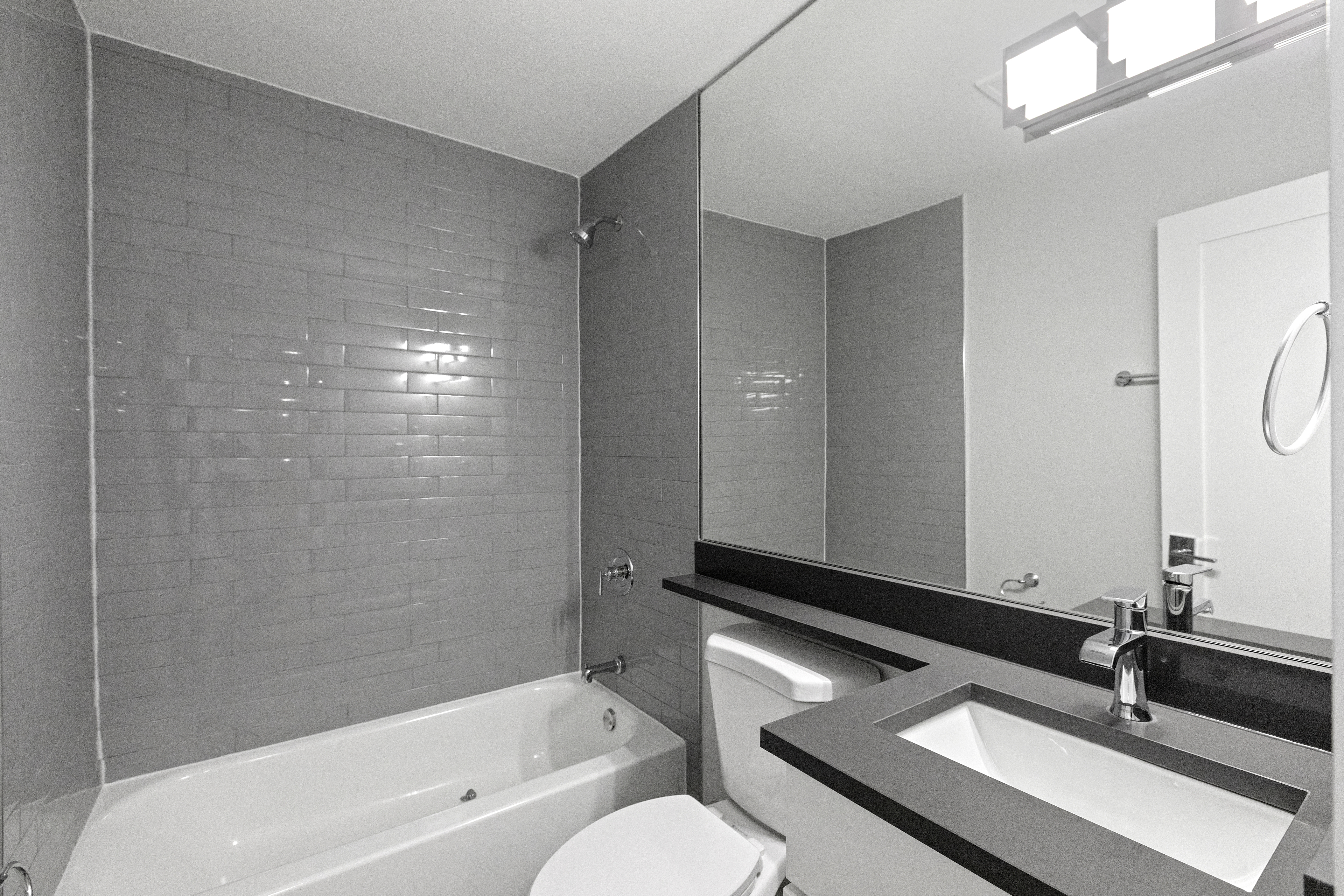 Chicago Condo: 530 W Aldine Ave.