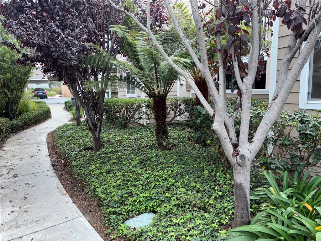 Dana Point Condo: 34008 Selva Road