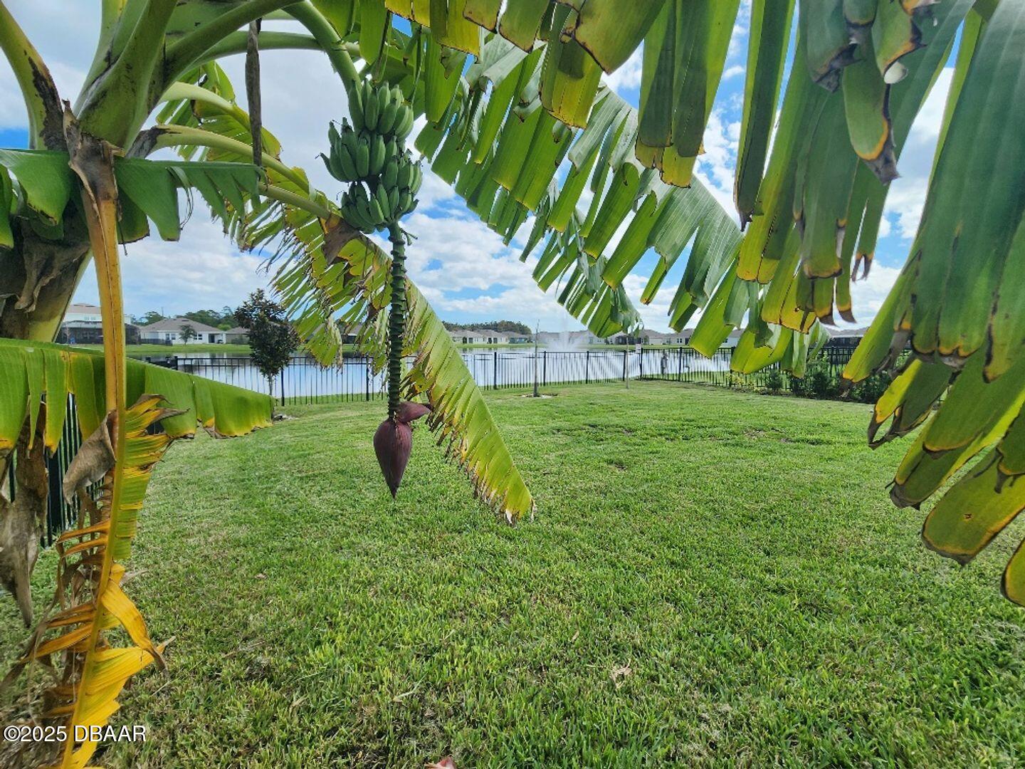 New Smyrna Beach Condo: 915 Noble New Smyrna Beach
