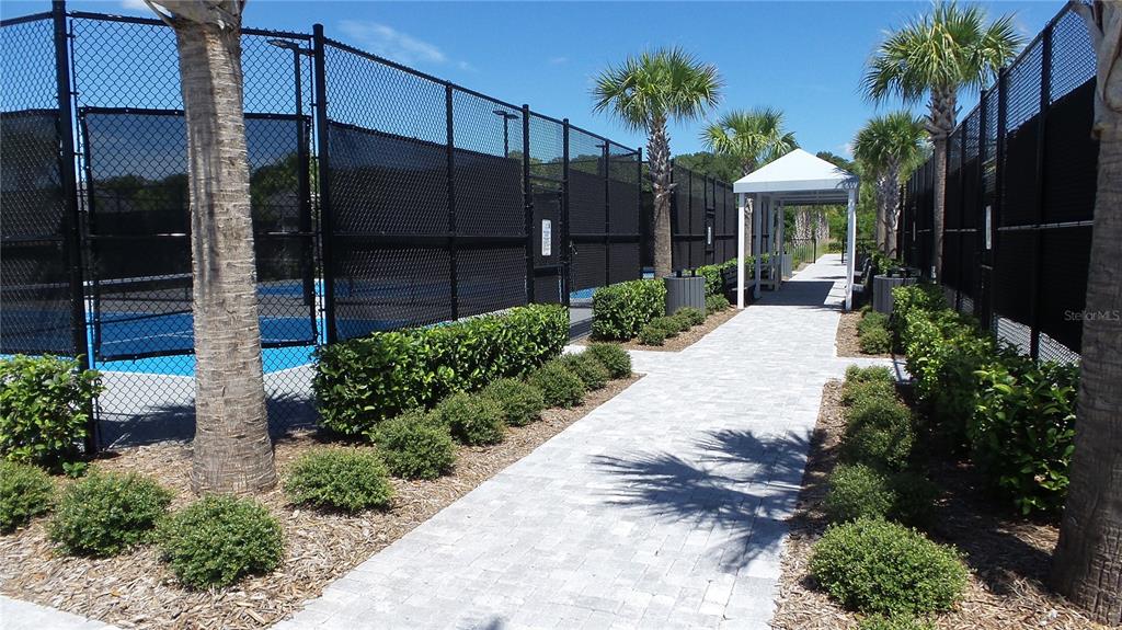 Land O Lakes Condo: 16715 Shell Bay Drive