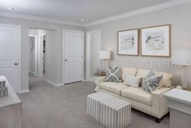 Wesley Chapel Condo: 5479 Brooklet Wds Drive