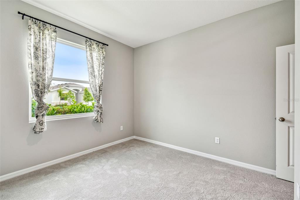 Wesley Chapel Condo: 33870 Field Maple Loop