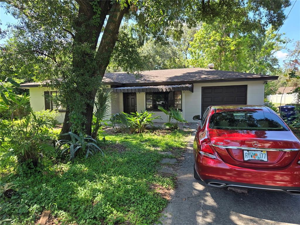 Tampa Condo: 804 West Linebaugh Avenue
