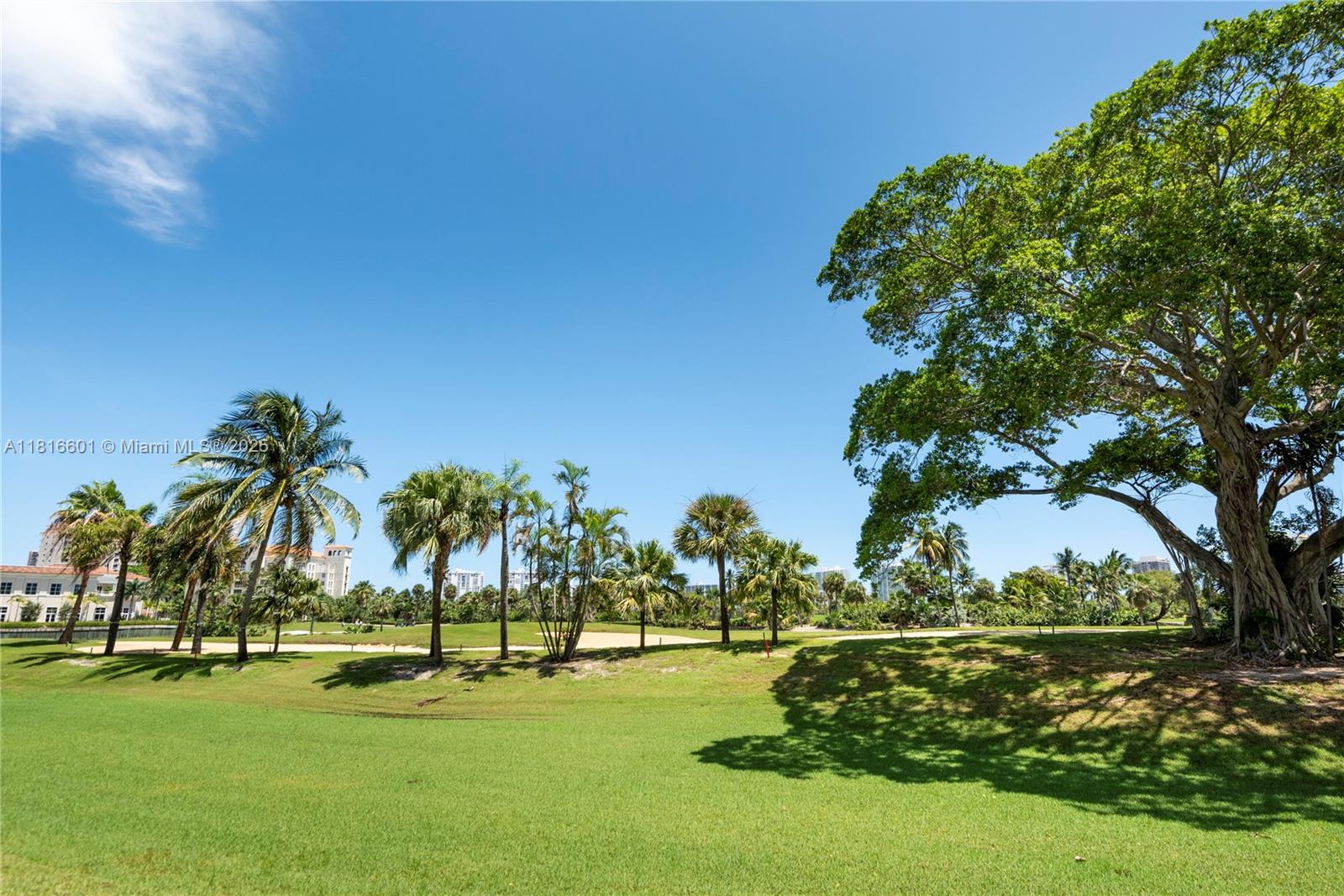 Aventura Condo: 19501 West Country Club Drive