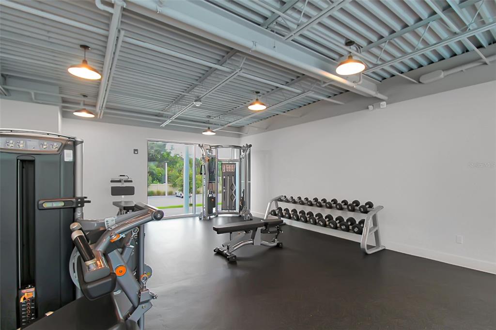 Sarasota Condo: 1703 North Tamiami Trail