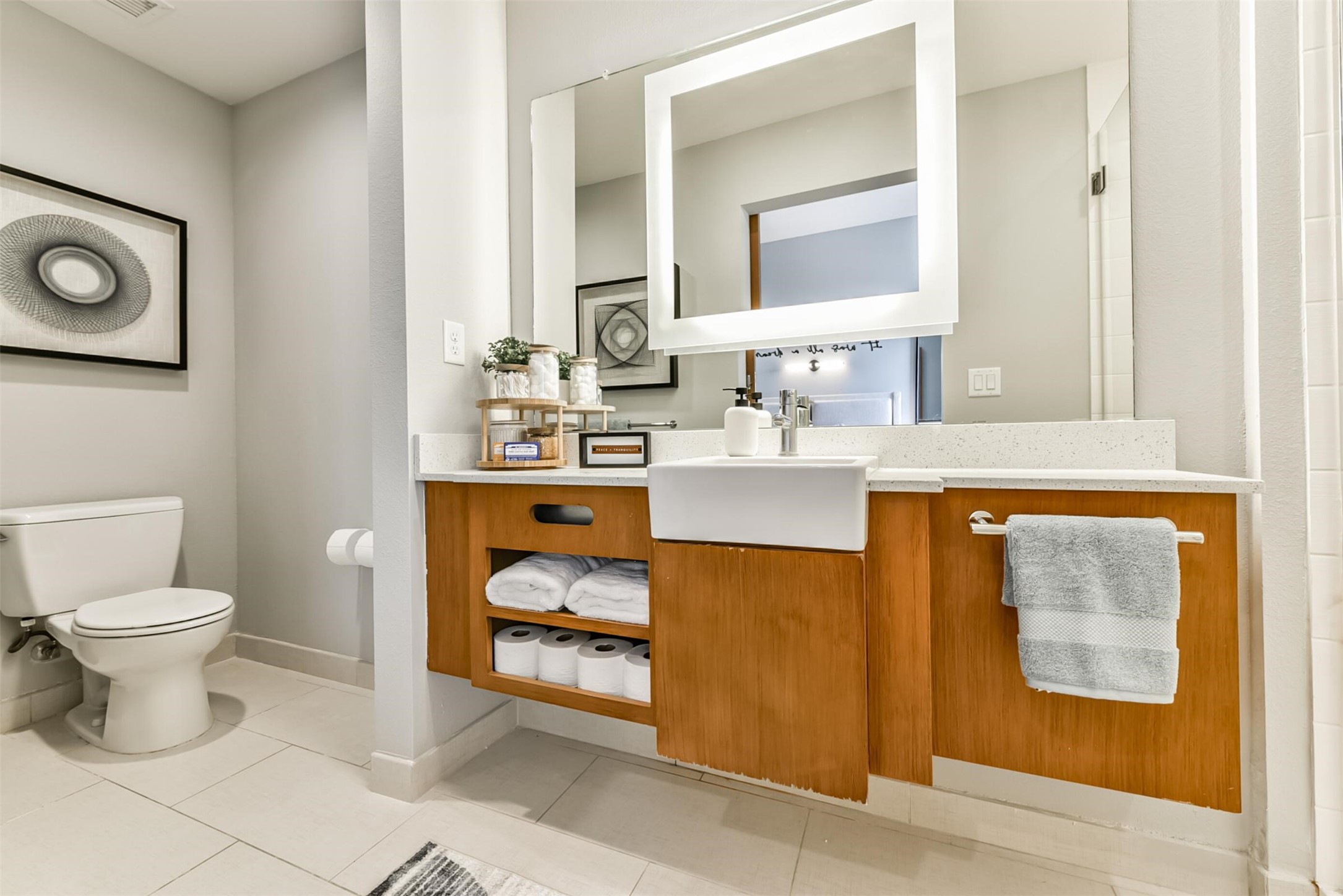 Houston Condo: 1350 Broadfield Boulevard