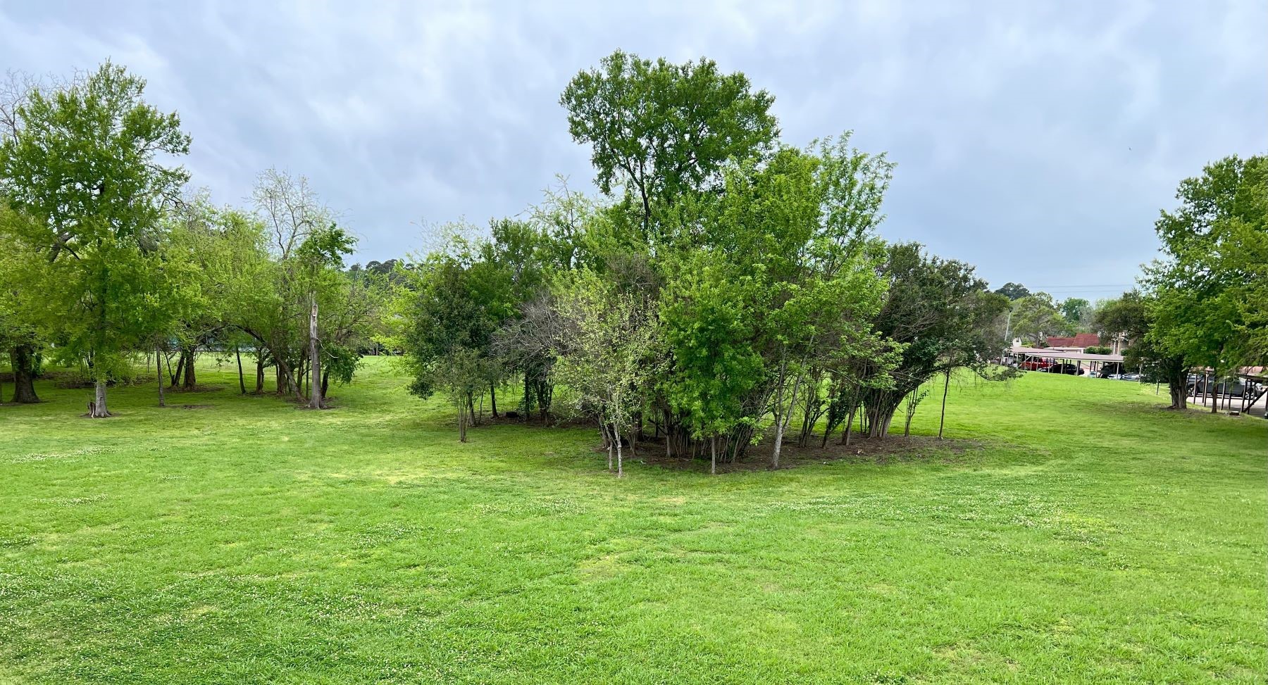 Conroe Condo: 164 April Point Drive North