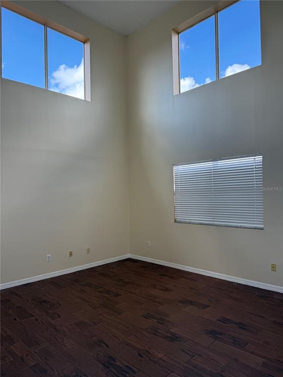 Wesley Chapel Condo: 31119 Masena Drive