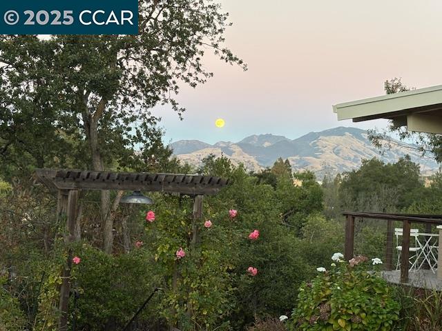 Walnut Creek Condo: 20 Boulevard Court