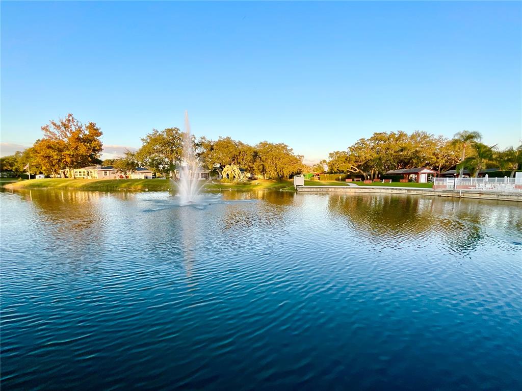 Port Richey Condo: 10605 Timber Lane