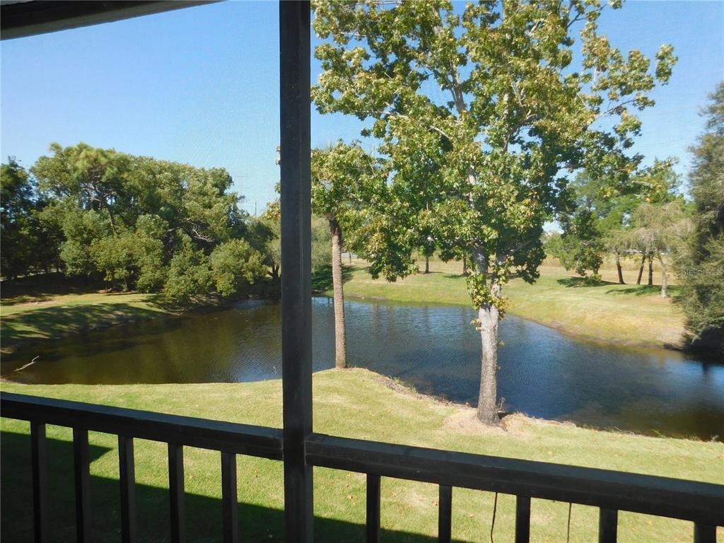 Oldsmar Condo: 510 Meadow Lane