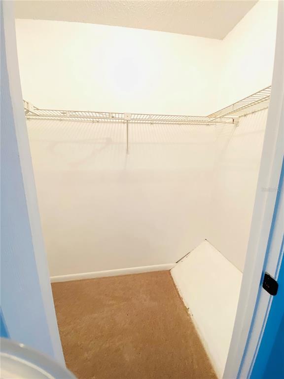 Oldsmar Condo: 148 Douglas Road West