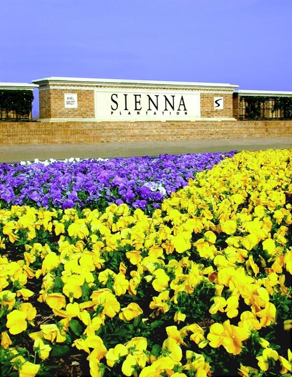 Missouri City Condo: 10739 Blossom River Drive