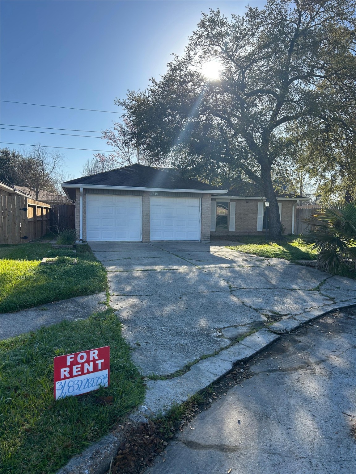 Humble Condo: 19806 Burle Oak Drive