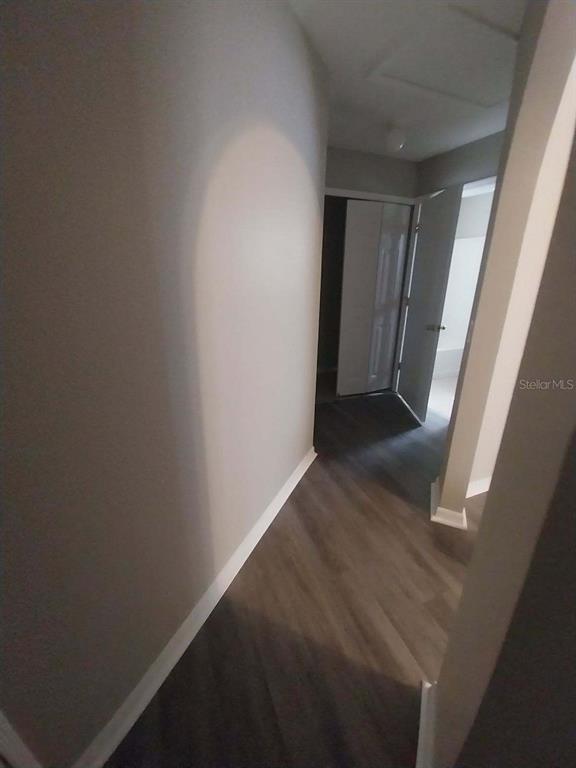 Spring Hill Condo: 11066 Avis Street