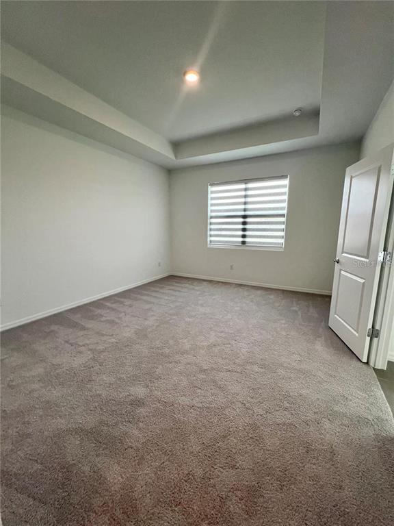 Wesley Chapel Condo: 2373 Bending Bonsai Drive