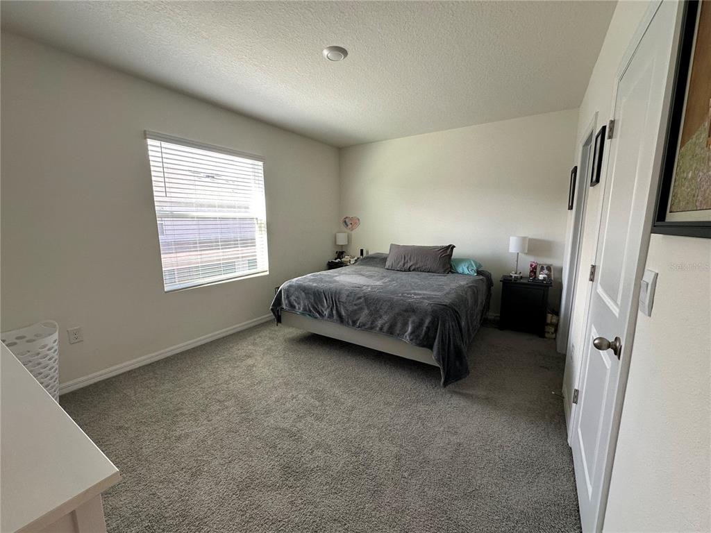 Wesley Chapel Condo: 2917 Flowering Moss Run