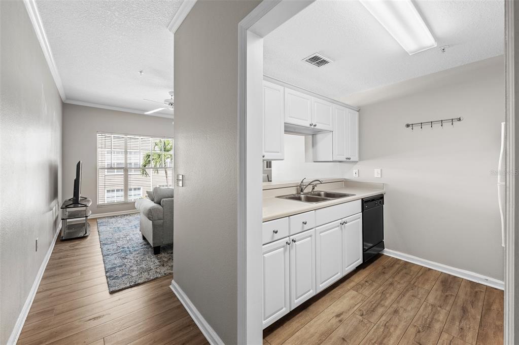 Tampa Condo: 800 South Dakota Avenue