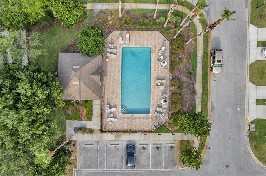 New Port Richey Condo: 8606 Reedville Street