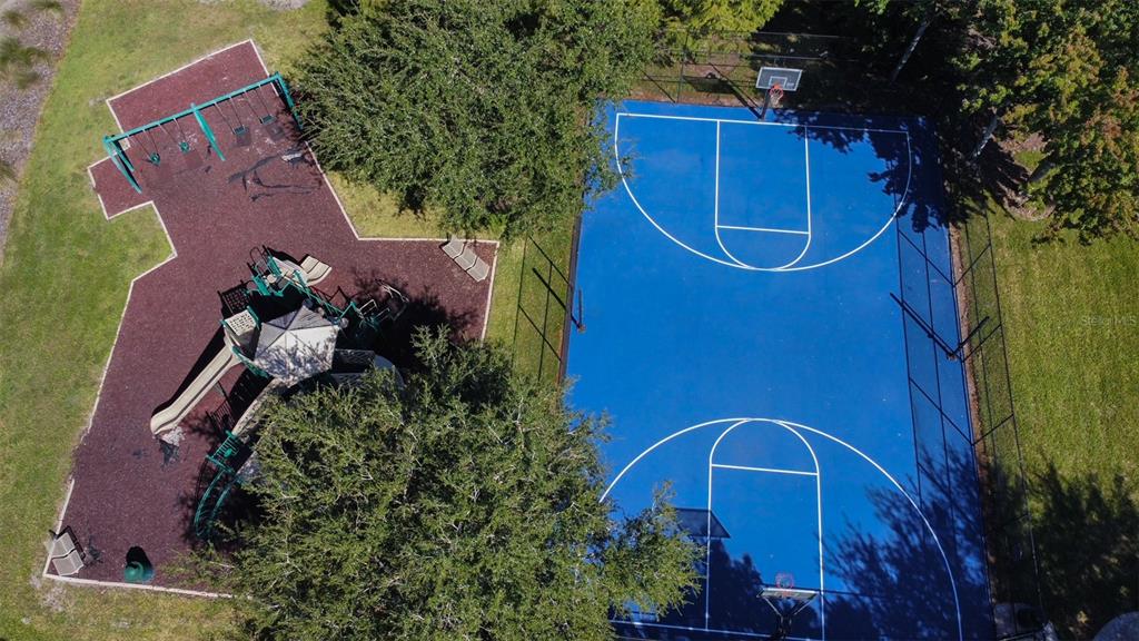 New Port Richey Condo: 11801 Essington Street