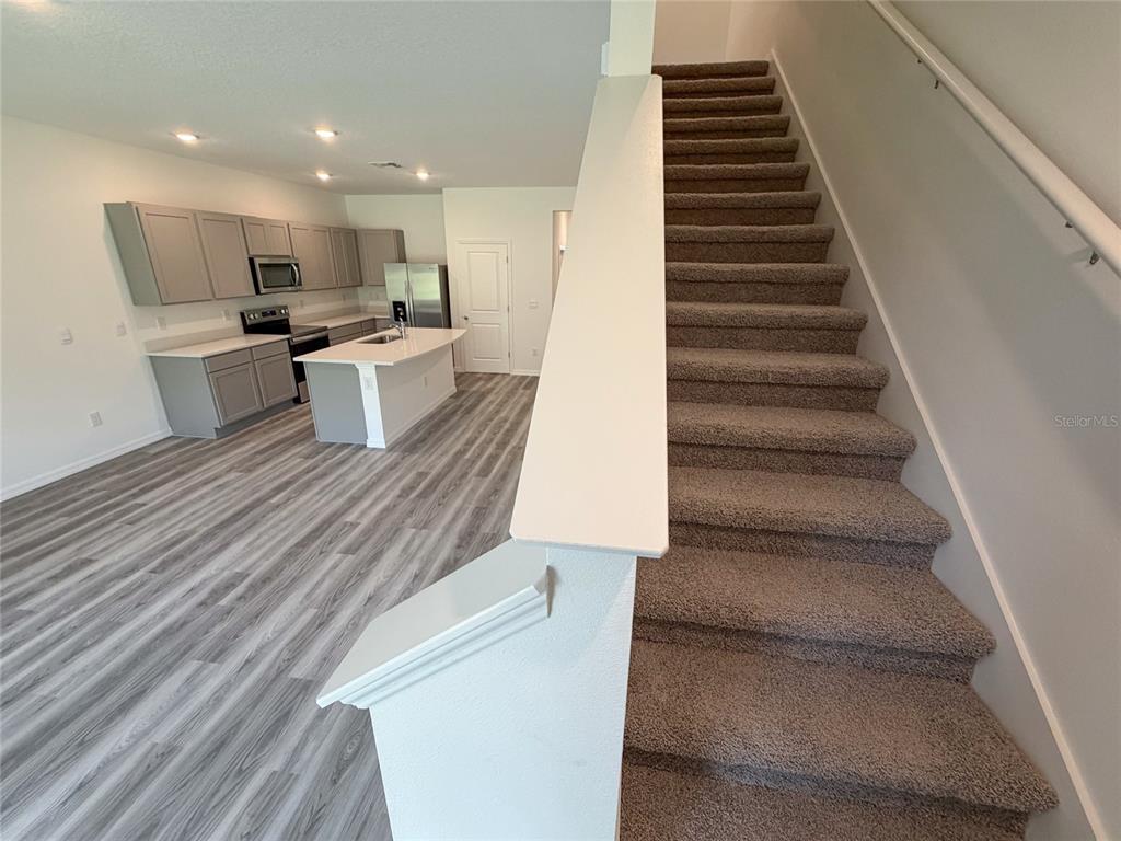 Land O Lakes Condo: 11367 Velvet Apricot Drive