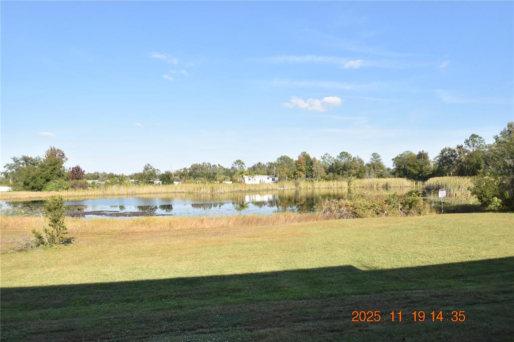 Land O Lakes Condo: 6252 Shiner Street