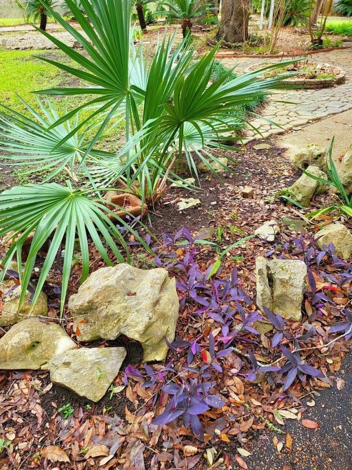 Sweeny Condo: 706 Maple Street