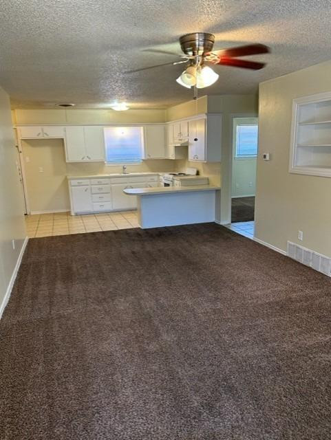 Lubbock Condo: 1636 58th Street