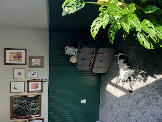 Pflugerville Condo: 14110 Luisium View