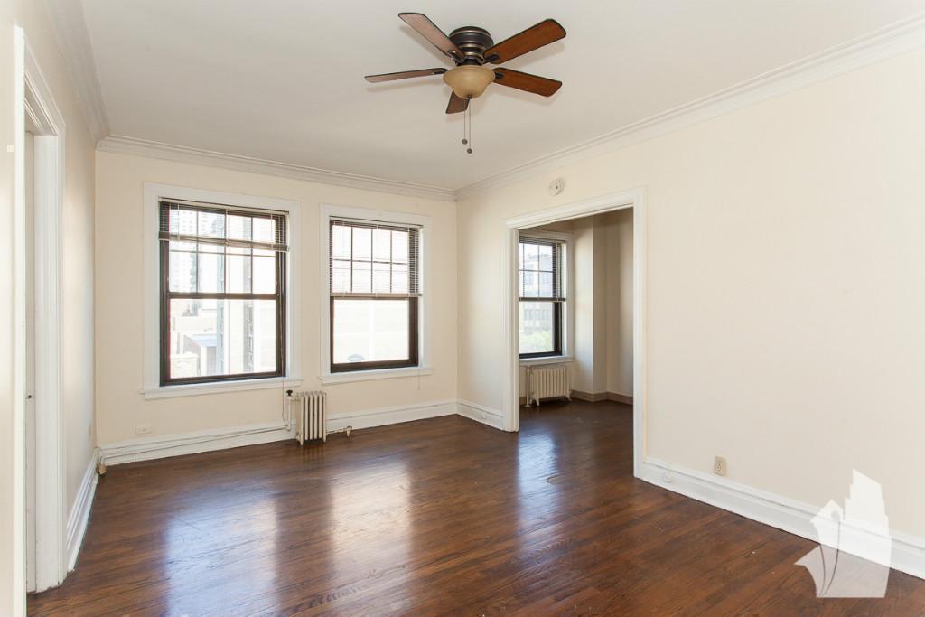 Chicago Condo: 540 W Briar Pll