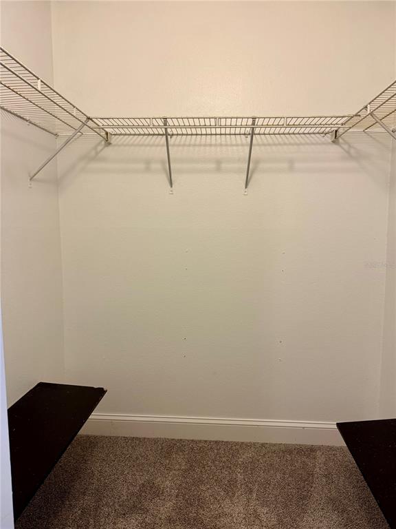 Tampa Condo: 106 Alameda Court